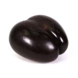 Coco de mer wooden nut, 25cm high