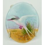 Porcelain plaque hand painted with a seabird in flight, initialled SJS, 8.5cm long