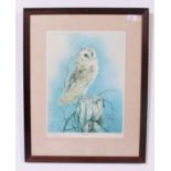 A framed and glazed print of a Barn Owl,