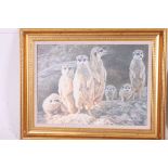A framed picture of a Meercat family  al