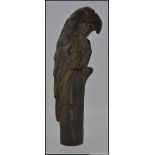 Bronze Walking Stick Handle in the form of a Parrot h13cm