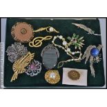 12 x pieces of costume jewellery, 12 x brooches and 1 x necklace.