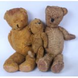 BEARS: A collection of 3x teddy bears, t