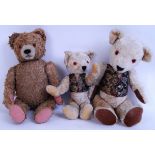 BEARS: A collection of 3x vintage teddy