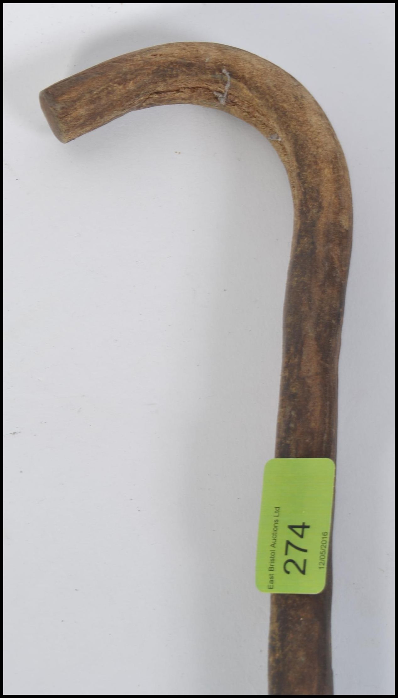 An early 20th Century bulls penis walking stick of unusual form ( see illustration) Approx 90cm - Image 2 of 2