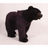 A fabulous large floor standing bear having life like fur and face,