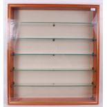 DISPLAY CABINET: A good sized wall hanging bespoke glazed display cabinet - ideal for diecast,