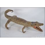 A vintage early 20th century taxidermy example of an Alligator,
