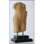 A 20th century sandstone sculpture study of a male torso in the classical style having ebonised