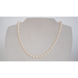 A 9ct gold and pearl necklace from Nicholas Wylde. Brand new, unused, within the original box.