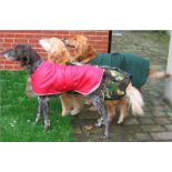 A voucher for One Towelling Drying Coat from Dorset Dogs Togs.