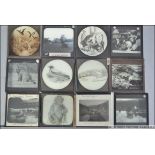 Magic Lantern Slides - Animals and Birds,