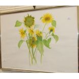 Paul Gell (1919-1996), 'Sunflowers - First to Open', a signed watercolour on paper, dated '82, 69