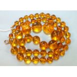 A string of fifty-three clear honey-amber spherical beads, largest 2cm diameter, 73.6g.