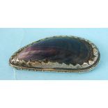 A snuff box in the form of a white-metal-mounted mussel shell, unmarked, 7.5cm long.