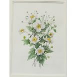 Rosaleen Wain S B A ANEMONE HONORINE JOBERT Signed watercolour, titled verso, 36 x 25.5cm.