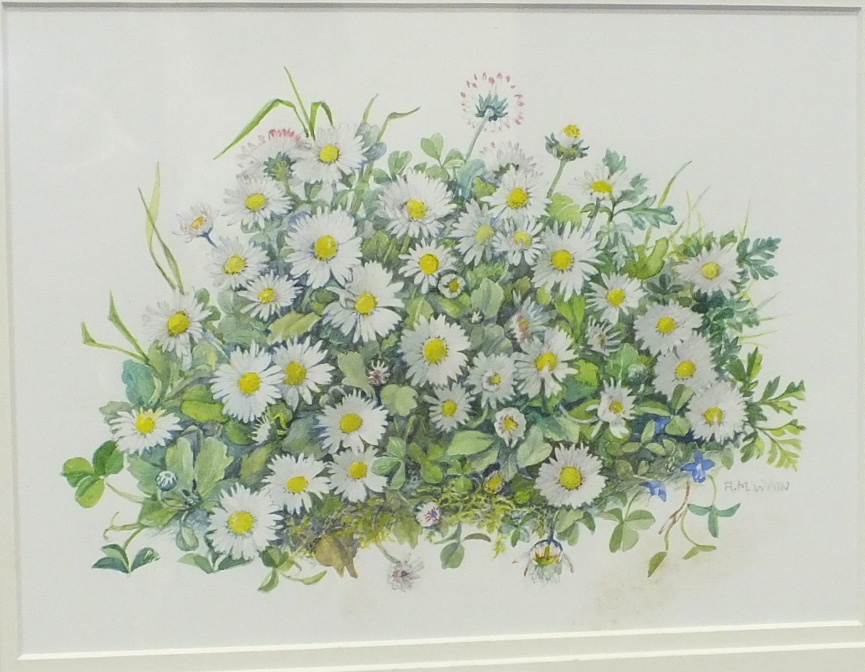 Rosaleen Wain S B A DAISIES Signed watercolour, titled verso, 18 x 24.5cm and another, ANEMONES,