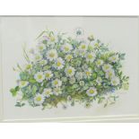 Rosaleen Wain S B A DAISIES Signed watercolour, titled verso, 18 x 24.5cm and another, ANEMONES,