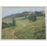 Lionne Crossley WALK TO ASH Framed pastel, signed and titled label verso, 33 x 43.5cm.