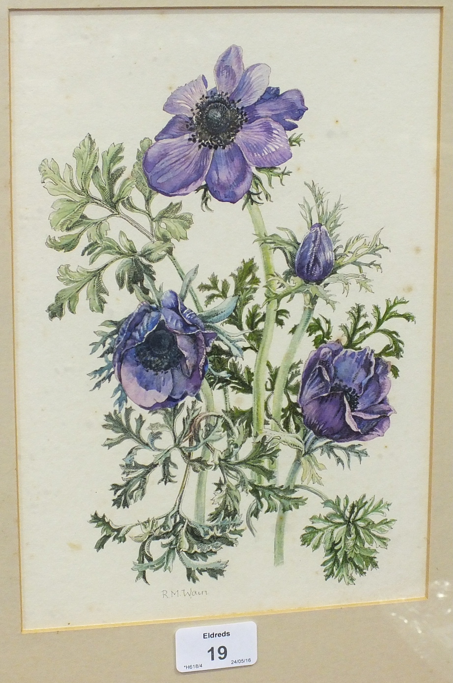 Rosaleen Wain S B A DAISIES Signed watercolour, titled verso, 18 x 24.5cm and another, ANEMONES, - Image 2 of 2