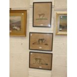 After Werner, three framed monkey prints, 'Malbrouck', 'Macaque (male)', 'Drill (female)', each 30 x