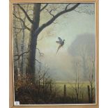 Roy Nockolds PHEASANT RISING IN THE EARLY MORNING MIST Signed oil on canvas, 67 x 54.5cm.