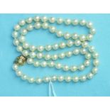 A string of seventy uniform cultured pearls with pearl-set gold clasp, (7mm diameter), 63cm long.