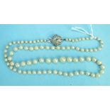 A string of graduated cultured pearls.