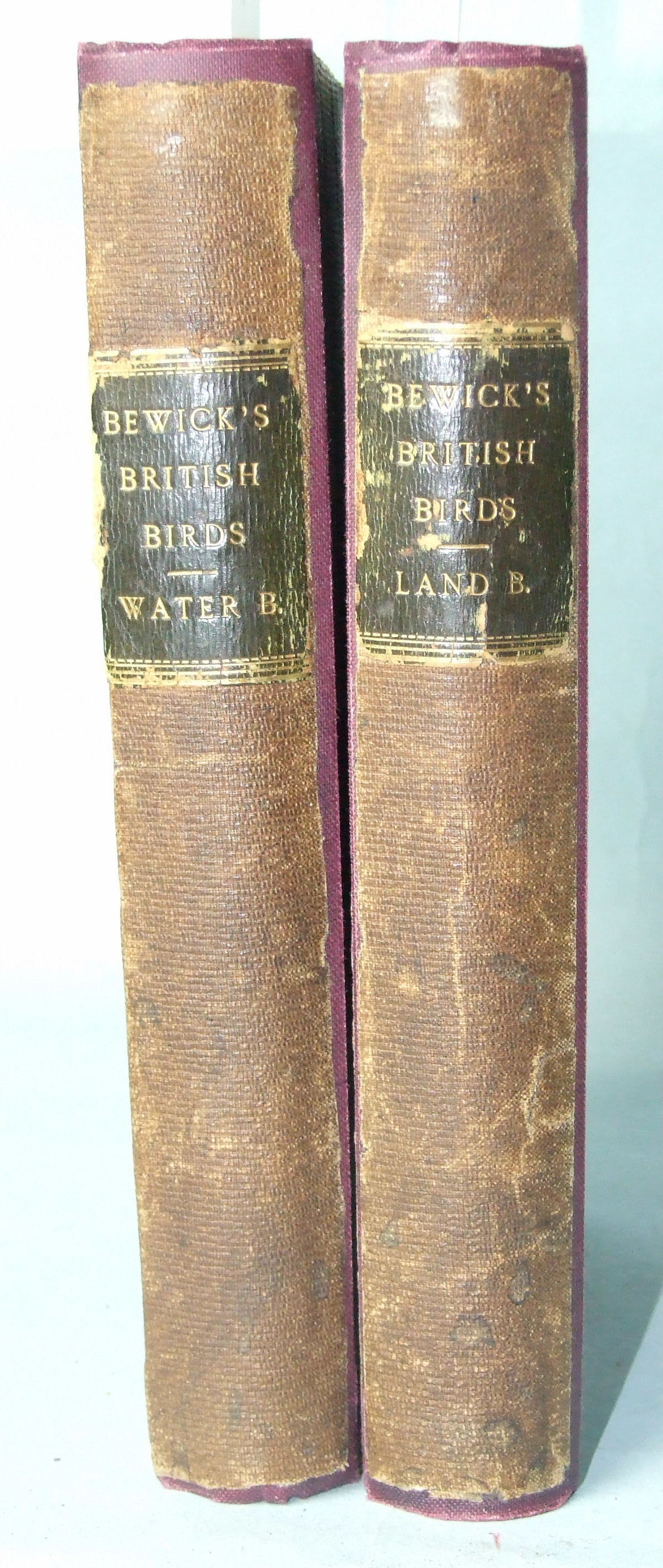 Bewick (Thomas), A History of British Birds, 2 vols, illus, rebound cl gt, 8vo, 1847.