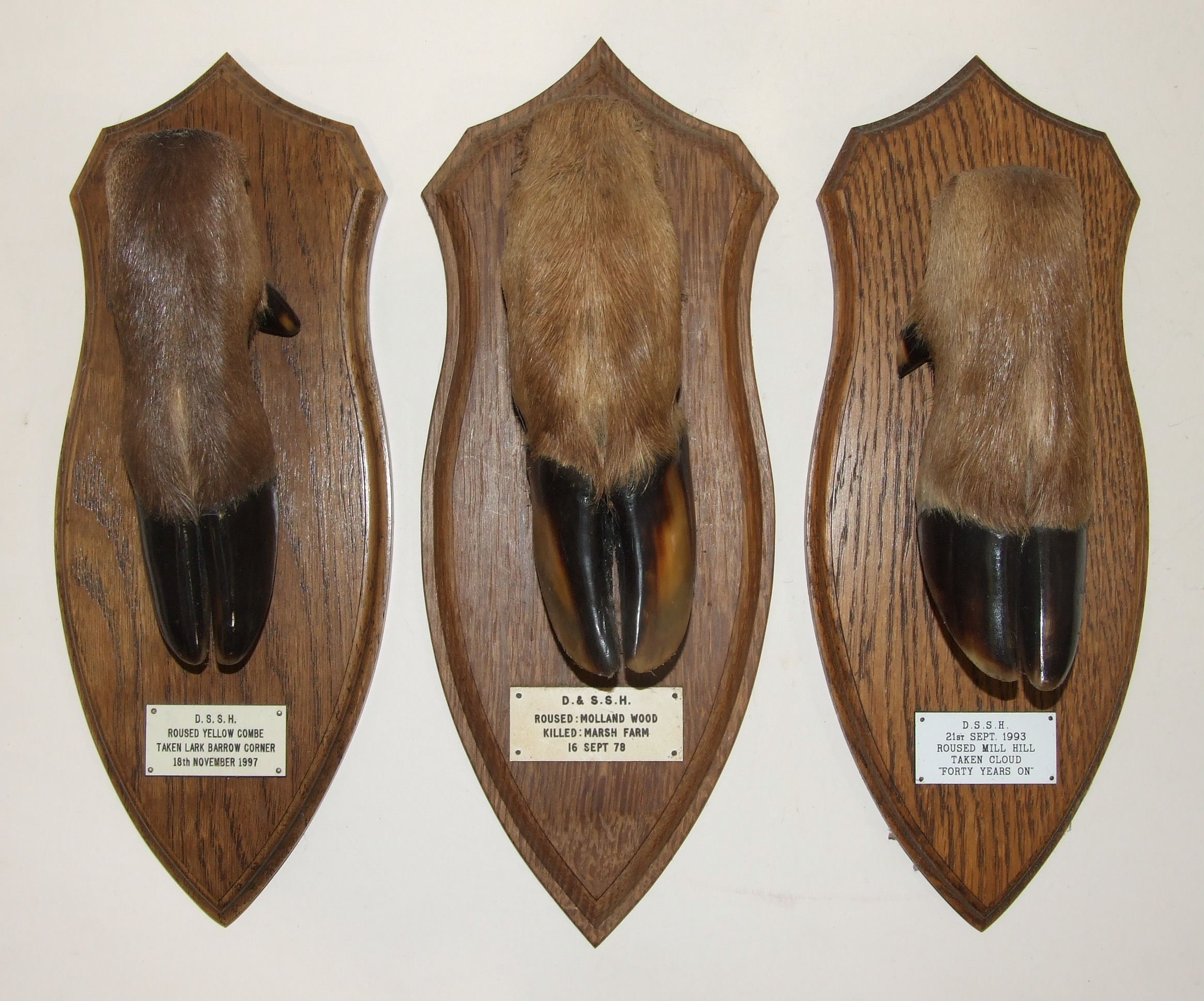 Three mounted Deer slots, Devon & Somerset Stag Hounds, "Roused Molland Wood, Killed Marsh Farm,