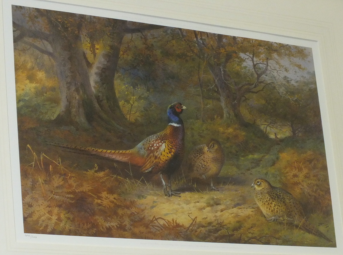 After Archibald Thorburn, a limited edition coloured print 'Pheasants', 442/500, 33 x 51cm.