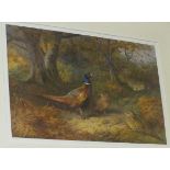 After Archibald Thorburn, a limited edition coloured print 'Pheasants', 442/500, 33 x 51cm.