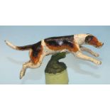 A cold painted bronze car mascot in the form of a running hound, 15cm long.