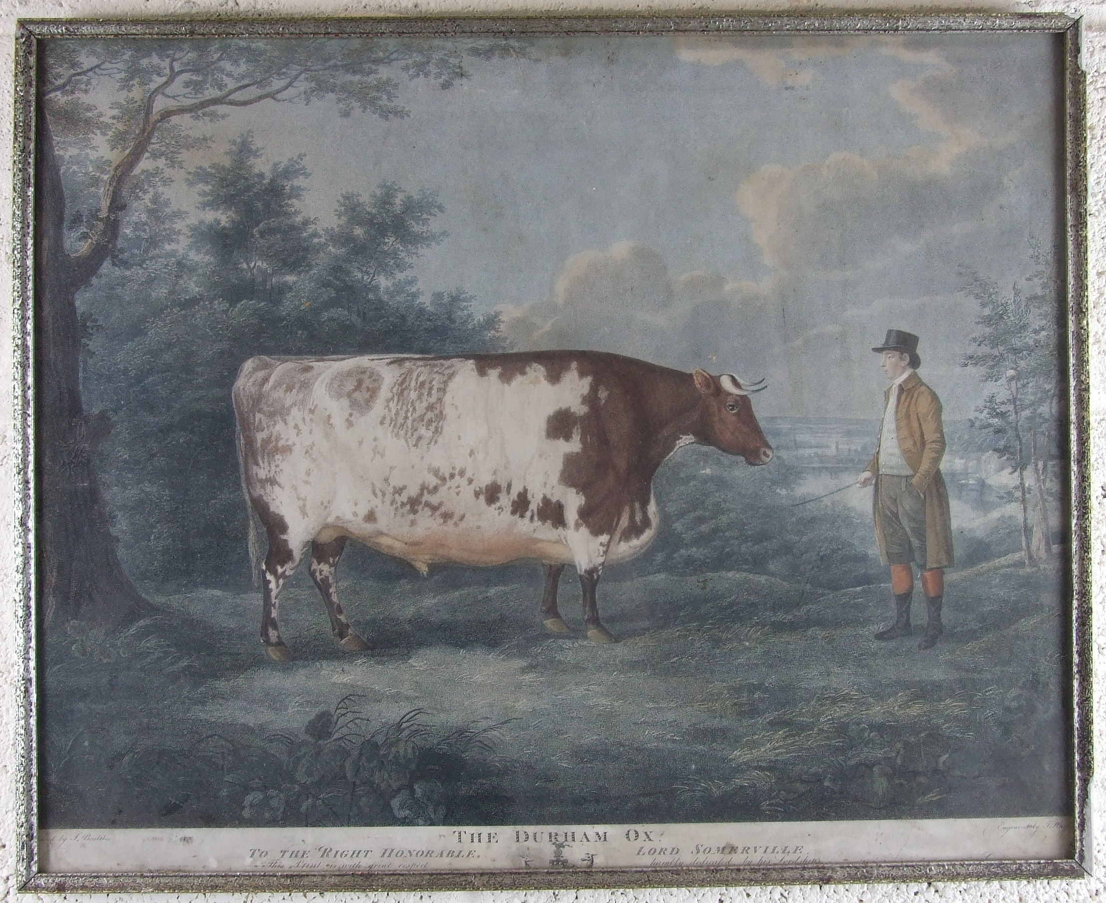 John Whessel After John Boultbee (1753-1812) THE DURHAM OX Dedicated to the Rt Hon Lord