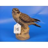 Poole Pottery stoneware bird Merlin