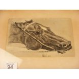 A pen and ink study of a horses head signed C Walton October '86'
