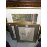 Three framed decorative pictures