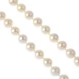 (117589) A single-strand cultured pearl necklace. The cultured pearls, measuring approximately