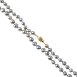 A cultured pearl single-strand necklace. Comprising a series of 103 freshwater cultured pearls,