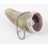 A late 19th century Scottish snuff mull, the horn body with glass inset, white metal hinged cover