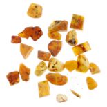 A selection of rough amber pieces. To include approximately twenty-two rough amber pieces.