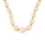 A cultured pearl single-strand necklace. Comprising ninety-five graduated cultured pearls, measuring
