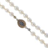 A cultured pearl single-strand necklace. Comprising a series of ninety-nine cultured pearls, each