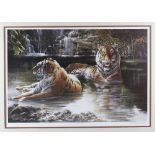 A limited edition signed print signed Dorothea Buxton Hide, depicting two tigers bathing, 17 x 25 (