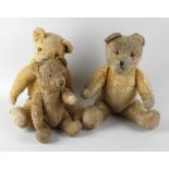 A box containing two gold plush teddy bears, each with wide pricked ears and amber coloured eyes,