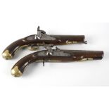 A pair of late Georgian walnut, brass and steel side lock percussion cap pistols, 14 (37cm). With