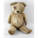 A large gold plush teddy bear, the head with wide pricked ears and amber coloured eye (one missing),