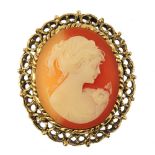 A large quantity of cameo costume jewellery. To include pendants, lockets, earrings and brooches.