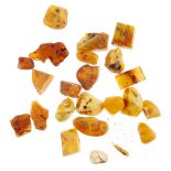 A selection of rough amber pieces. To include approximately twenty-two rough amber pieces.