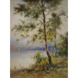 ERNEST PARTON (1845-1933) - Silver birch tree beside a lake, watercolour and body colour, signed,